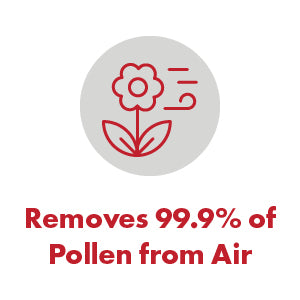 Vapamore MR-500 Vento Canister Power Vacuum System